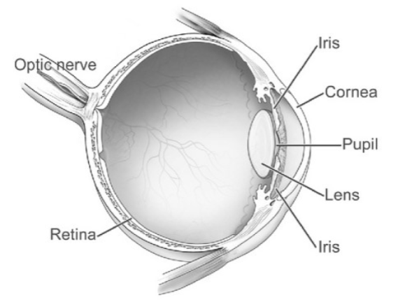 Eye Diagram